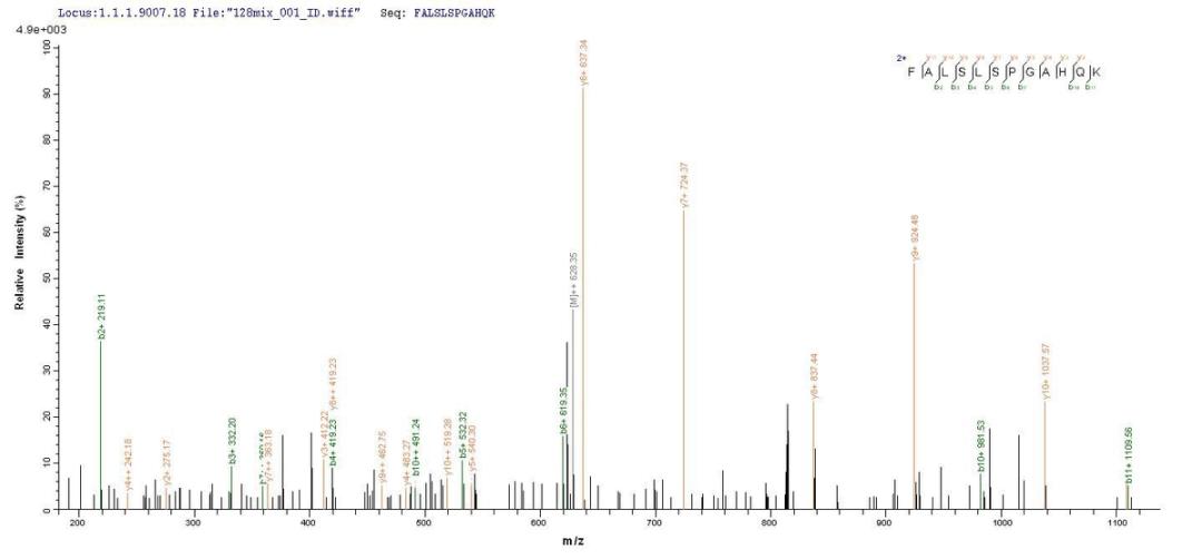 Based on the SEQUEST from database of E.coli host and target protein, the LC-MS/MS Analysis result of CSB-EP859945HU could indicate that this peptide derived from E.coli-expressed Homo sapiens (Human) MYD88.