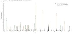 Based on the SEQUEST from database of E.coli host and target protein, the LC-MS/MS Analysis result of CSB-EP859945HU could indicate that this peptide derived from E.coli-expressed Homo sapiens (Human) MYD88.