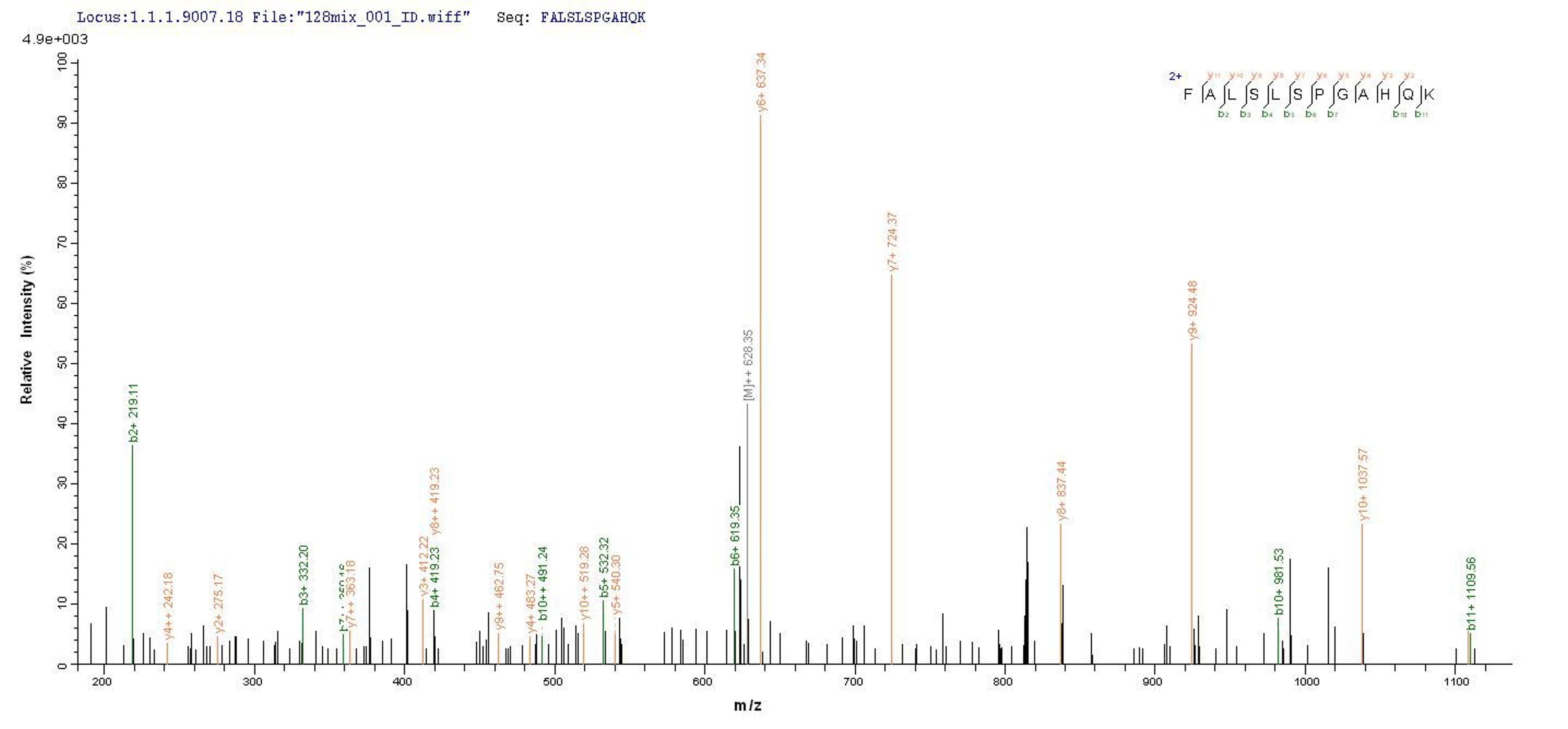 Based on the SEQUEST from database of E.coli host and target protein, the LC-MS/MS Analysis result of CSB-EP859945HU could indicate that this peptide derived from E.coli-expressed Homo sapiens (Human) MYD88.