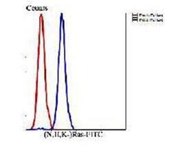 Flow cytometric analysis of Hela cells using Ras antibody