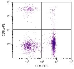 Chicken peripheral blood mononuclear cells were stained with Mouse Anti-Chicken CD8?-PE (Cat. No. 99-215) and Mouse Anti-Chicken CD4-FITC .