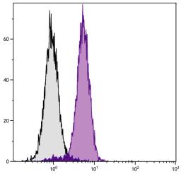 T cell leukemia cell line Jurkat was intracellularly stained with Mouse Anti-Human Bcl-xL-PE (Cat. No. 99-619).