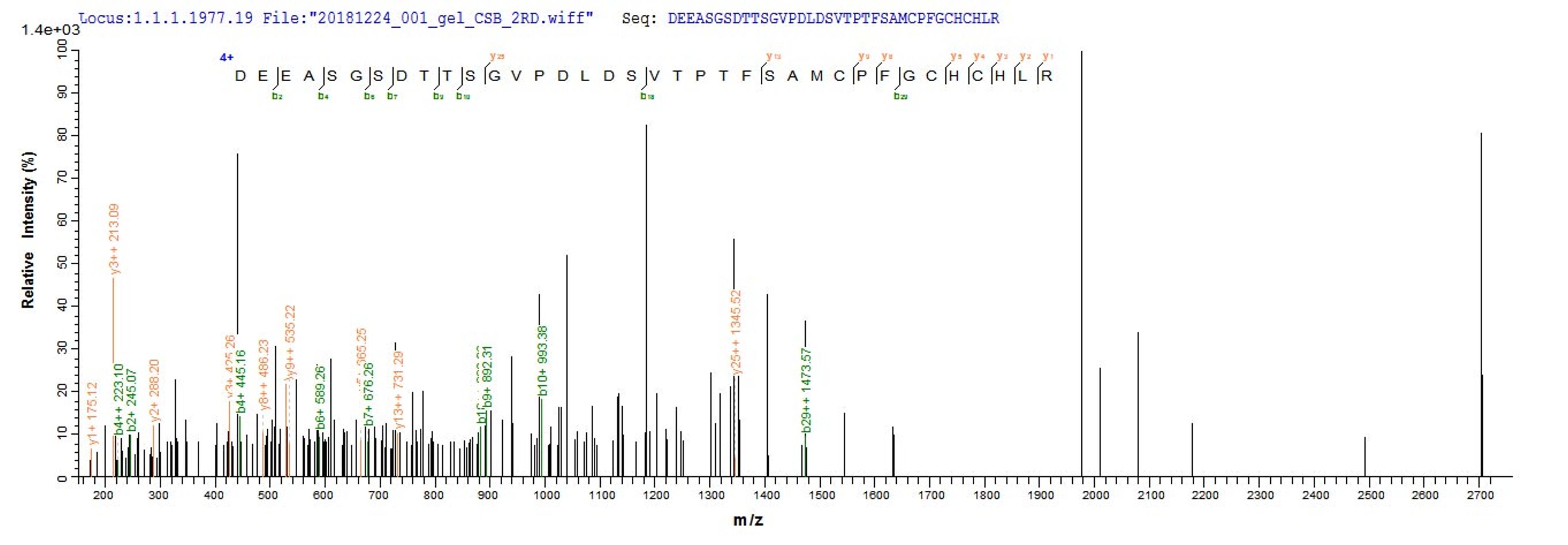 Based on the SEQUEST from database of E.coli host and target protein, the LC-MS/MS Analysis result of CSB-EP002683MO could indicate that this peptide derived from E.coli-expressed Mus musculus (Mouse) Bgn.