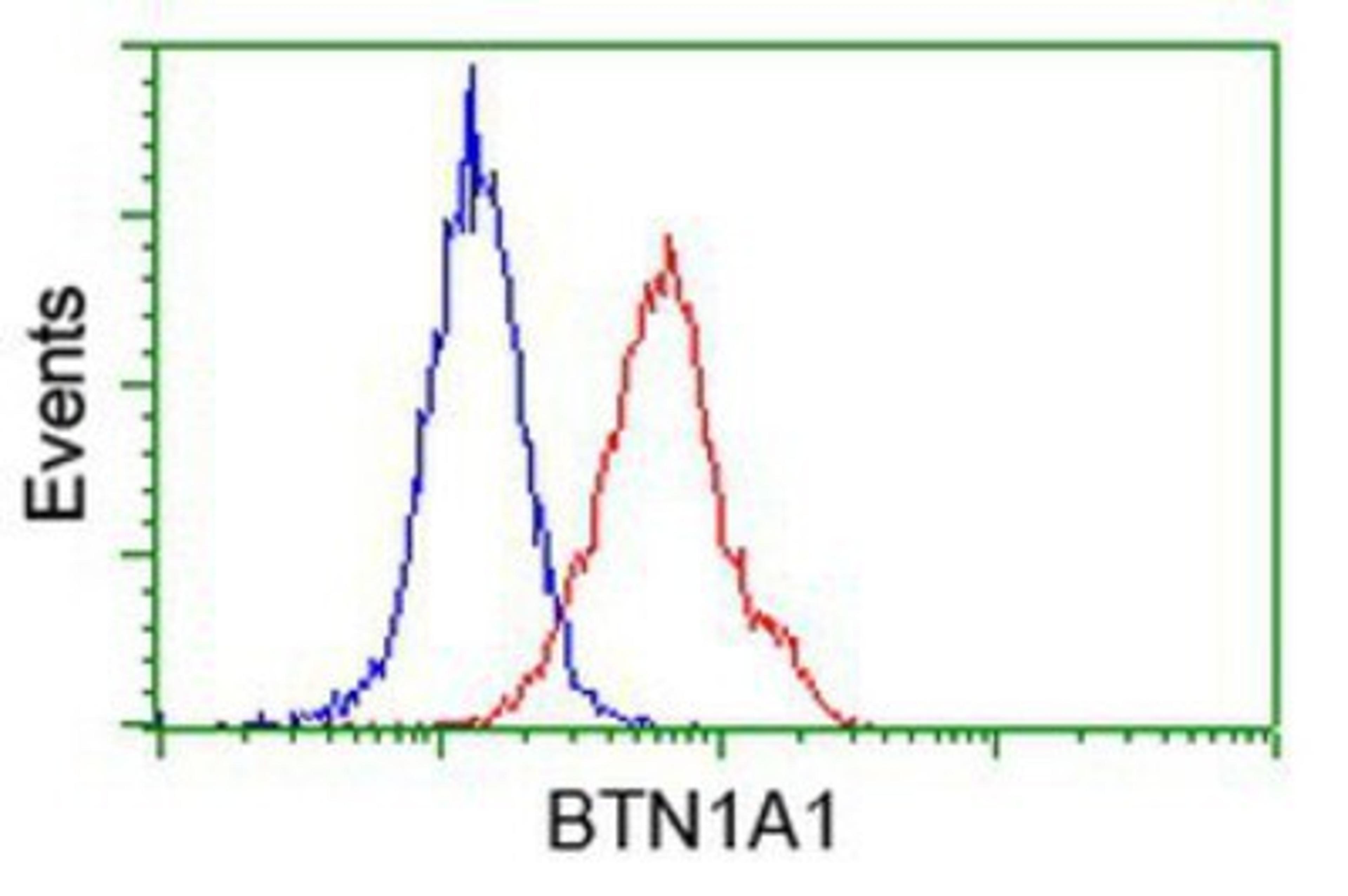 Flow Cytometry: BTN1A1 Antibody (7B5) [NBP2-02864] - Analysis of Hela cells, using anti-BTN1A1 antibody, (Red), compared to a nonspecific negative control antibody (Blue).