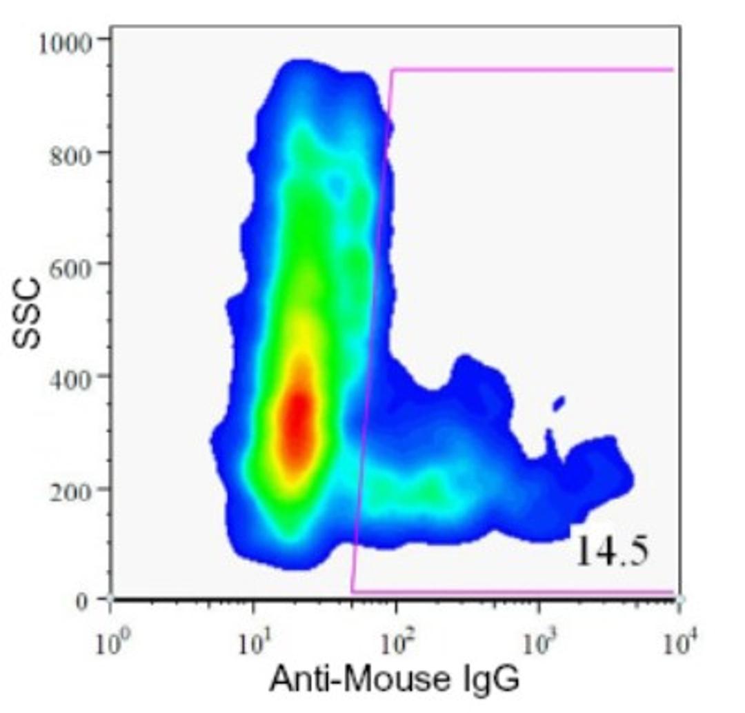 Flow Cytometry: HPd1 Antibody (DHIC2-4A10) [NBP1-18953] - Analysis of enzyme dispersed human pancreas cells.