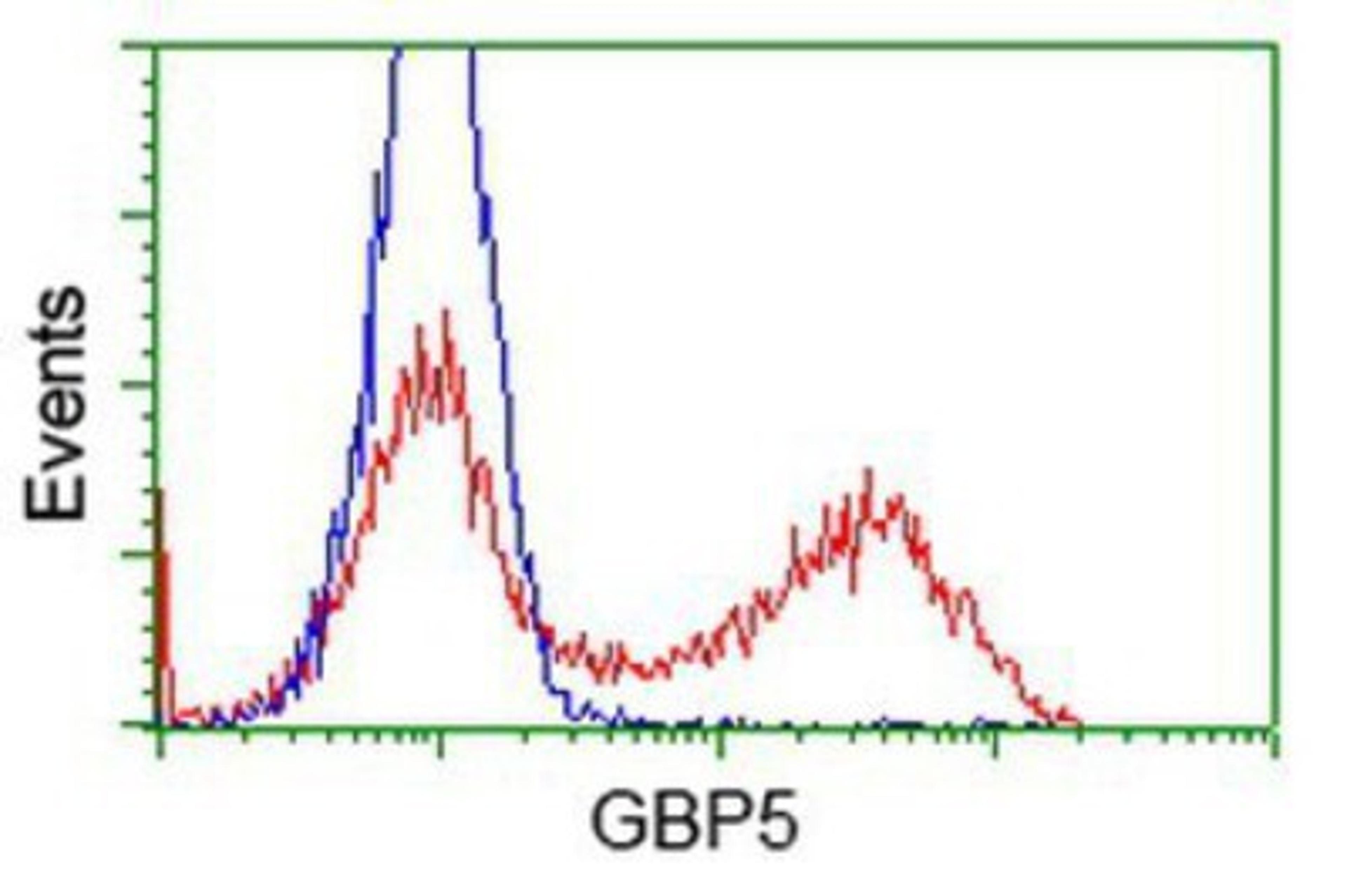 Flow Cytometry: GBP5 Antibody (5C9) [NBP2-03468] - HEK293T cells transfected with either overexpression plasmid (Red) or empty vector control plasmid (Blue) were immunostained by anti-GBP5 antibody, and then analyzed by flow cytometry.