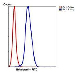 Flow cytometric analysis of HeLa cells using Beta tubulin antibody