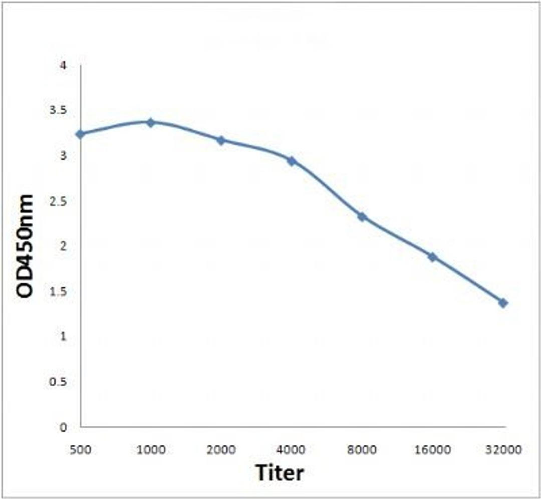 Line graph illustrates about the Ag-Ab reactions using different concentrations of antigen and serial dilutions of SDHB antibody