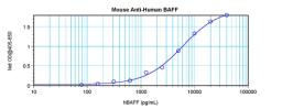 To a sandwich ELISA (assuming 100µl/well), a concentration of 5.0-6.0 ug/ml of this antibody will detect at least 1000 pg/ml of recombinant human BAFF when used with ProSci's biotinylated antigen affinity purified anti-human BAFF (XP-5105Bt) as the detect