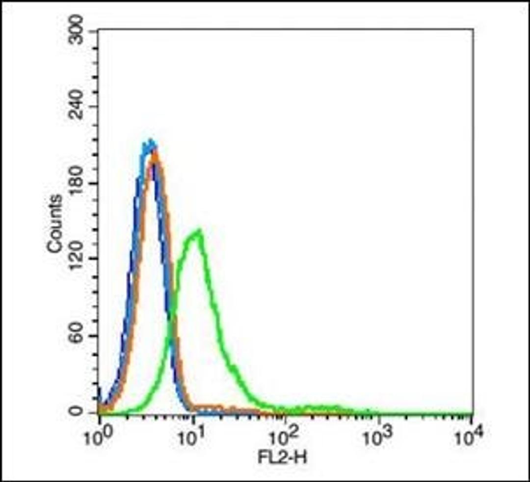 Flow cytometric analysis of TM4 cells using ITGA11 antibody.