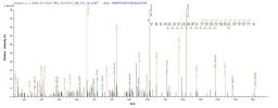 Based on the SEQUEST from database of Mammalian Cell host and target protein, the LC-MS/MS Analysis result of CSB-MP013706RA could indicate that this peptide derived from Mammalian Cell-expressed Rattus norvegicus (Rat) Mertk.