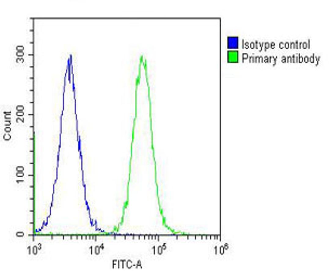 Overlay histogram showing Hela cells stained with Antibody (green line). The cells were fixed with 2% paraformaldehyde (10 min) and then permeabilized with 90% methanol for 10 min. The cells were then icubated in 2% bovine serum albumin to block non-speci