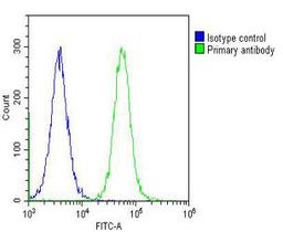 Overlay histogram showing Hela cells stained with Antibody (green line). The cells were fixed with 2% paraformaldehyde (10 min) and then permeabilized with 90% methanol for 10 min. The cells were then icubated in 2% bovine serum albumin to block non-speci