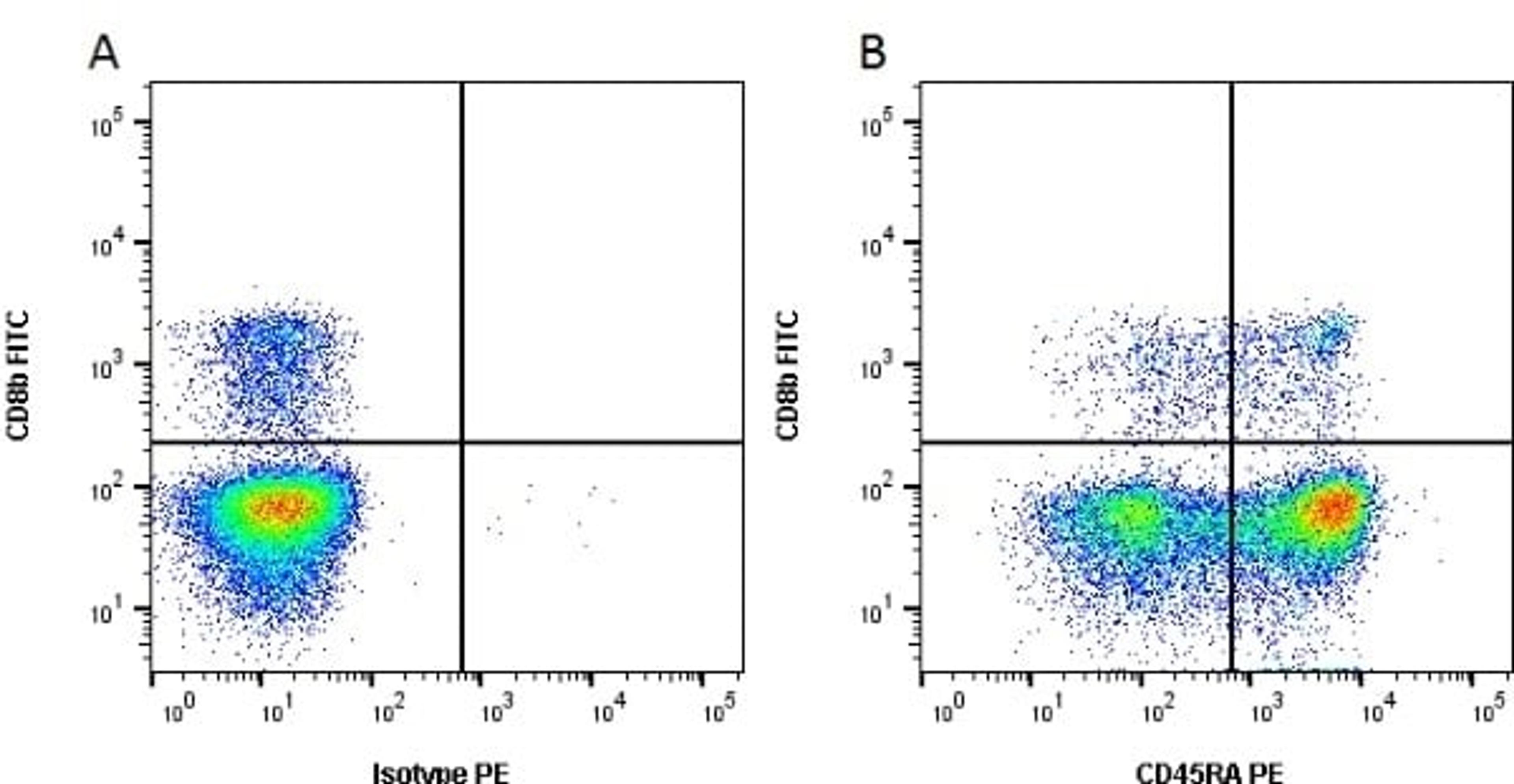 Figure A. mouse anti porcine CD8b. Figure B. mouse anti porcine CD8b and mouse anti porcine CD45RA.