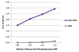 ELISA plate was coated with BSA and BSA conjugated to phosphotyrosine (pTry-BSA). Phosphotyrosine was detected with serially diluted Mouse Anti-Human Phosphotyrosine-HRP (Cat. No. 98-516).