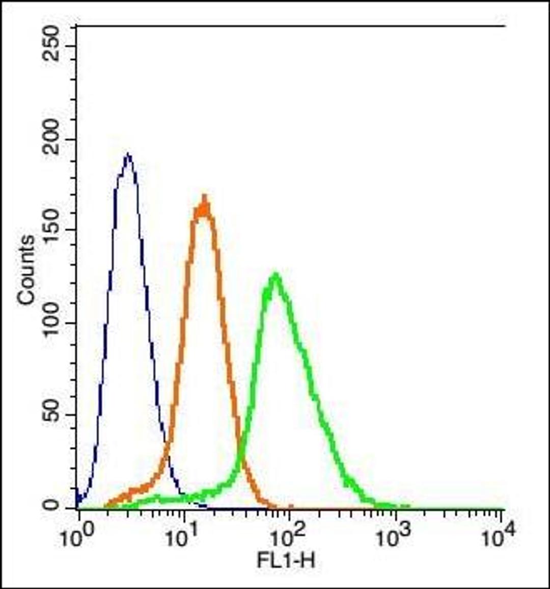 Flow cytometric analysis of Hela Cells using LAR antibody.