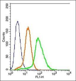 Flow cytometric analysis of Hela Cells using LAR antibody.