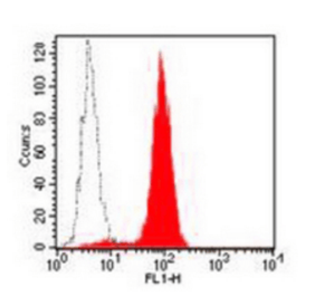 Flow cytometric analysis of HEL cells using CD33 antibody (FITC)