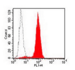 Flow cytometric analysis of HEL cells using CD33 antibody (FITC)