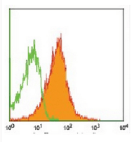 Flow cytometric analysis of human peripheral blood leukocytes using CD45RB antibody (FITC)