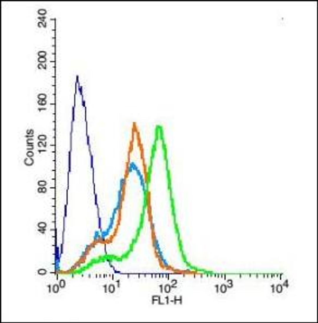 Flow cytometric analysis of Rsc96 cell using NMUR1 antibody.