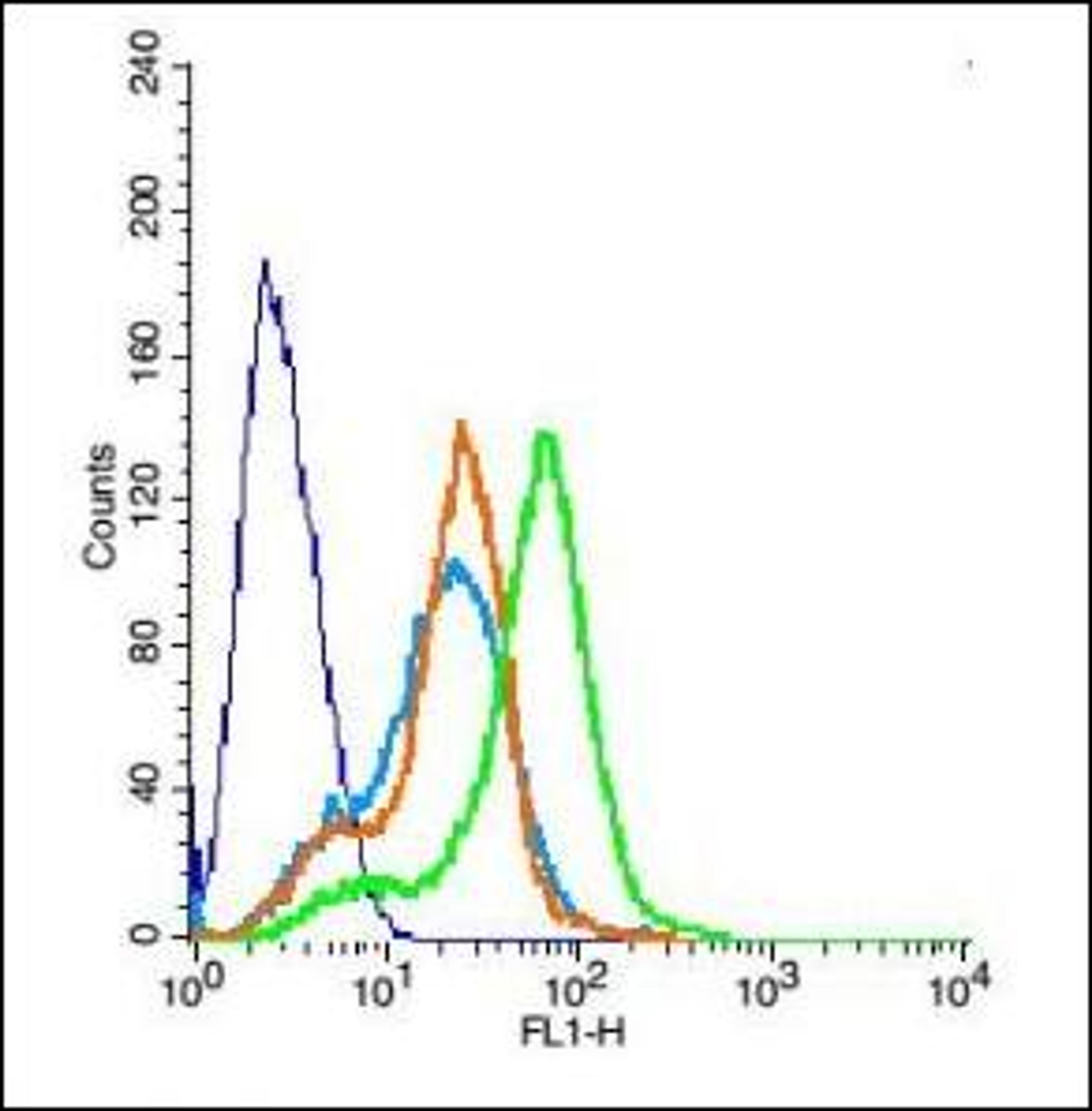 Flow cytometric analysis of Rsc96 cell using NMUR1 antibody.