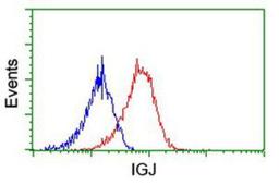 Flow Cytometry: IgJ Antibody (3B3) [NBP2-01688] - Analysis of Hela cells, using anti-IgJ antibody, (Red), compared to a nonspecific negative control antibody (Blue).