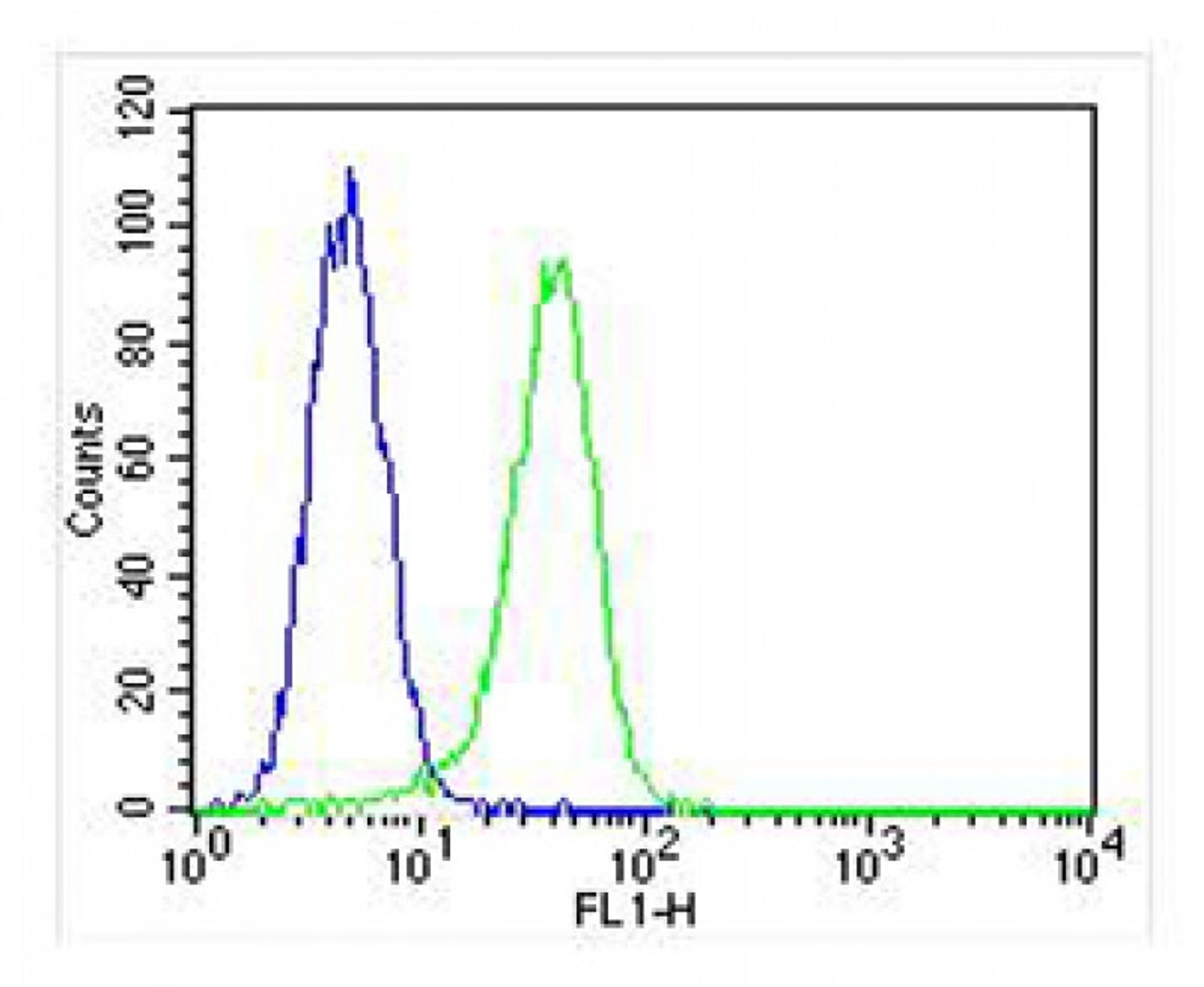 Overlay histogram showing A549 cells stained with Antibody (green line). The cells were fixed with 2% paraformaldehyde (10 min) and then permeabilized with 90% methanol for 10 min. The cells were then icubated in 2% bovine serum albumin to block non-speci