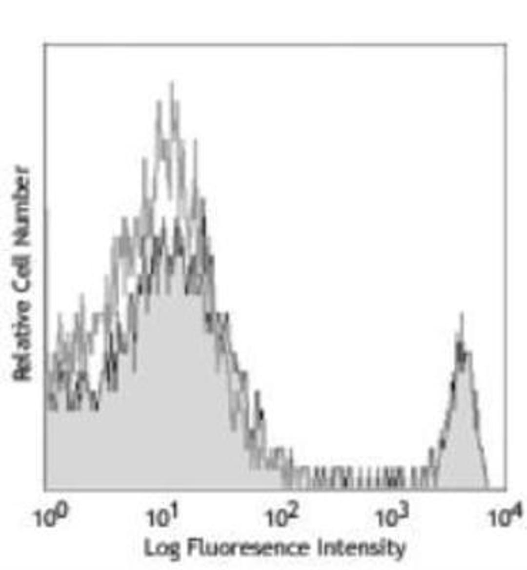 Flow Cytometry: CD8 alpha Antibody (53-6.7) [NBP1-49045] - C57BL/6 mouse splenocytes were stained with biotinylated CD8 (clone 53-6.7) (filled histogram) or rat IgG2a, ? isotype control (open histogram), followed by Sav-PE.