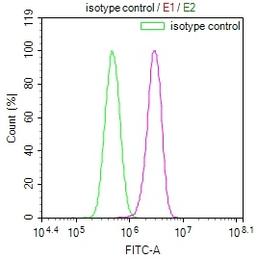 Overlay Peak curve showing PC3 cells stained with CSB-RA568544A0HU (red line) at 1:100. The cells were incubated in 10% normal goat serum to block non-specific protein-protein interactions followed by the antibody (1ug/1*10<sup>6</sup>cells) for 45min at 4℃. The secondary antibody used was FITC-conjugated Goat Anti-rabbit IgG(H+L) at 1:200 dilution for 35min at 4℃.Control antibody (green line) was rabbit IgG (1ug/1*10<sup>6</sup>cells) used under the same conditions. Acquisition of >10,000 events was performed.