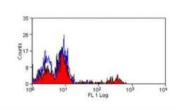 Flow Cytometry: CD16 Antibody (DJ130c) [NB100-64346] - Staining of human peripheral blood lymphocytes.