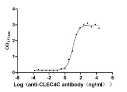 The Binding Activity of CLEC4C with anti-CLEC4C antibody. Activity: Measured by its binding ability in a functional ELISA. Immobilized Human CLEC4C (CSB-MP855470HUh7) at 2 μg/mL can bind Anti-CLEC4C recombinant antibody,the EC<sub>50</sub> is 7.658-12.99 ng/mL.