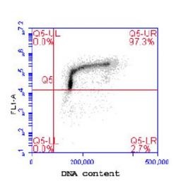 Flow Cytometry: MCM2 [p Ser108] Antibody [NB100-639] - Flow cytometric analysis of phospho-MCM2 (pS108). Jurkat cells were fixed in 1.5% PFA, and permeabilized in 90% MeOH. 1 X 10e6 cells were stained with 0.1 mcg/ml anti-phospho- MCM2 (pS108) in a 150 mcl volume. DNA content was simultaneously analyzed via PI stain.