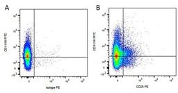 Figure A. Rat anti Canine CD11/18. Figure B. Rat anti Canine CD11/18 and Mouse anti Canine CD25