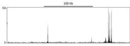 Localization of GR Binding Sites by ChIP-sequencing.