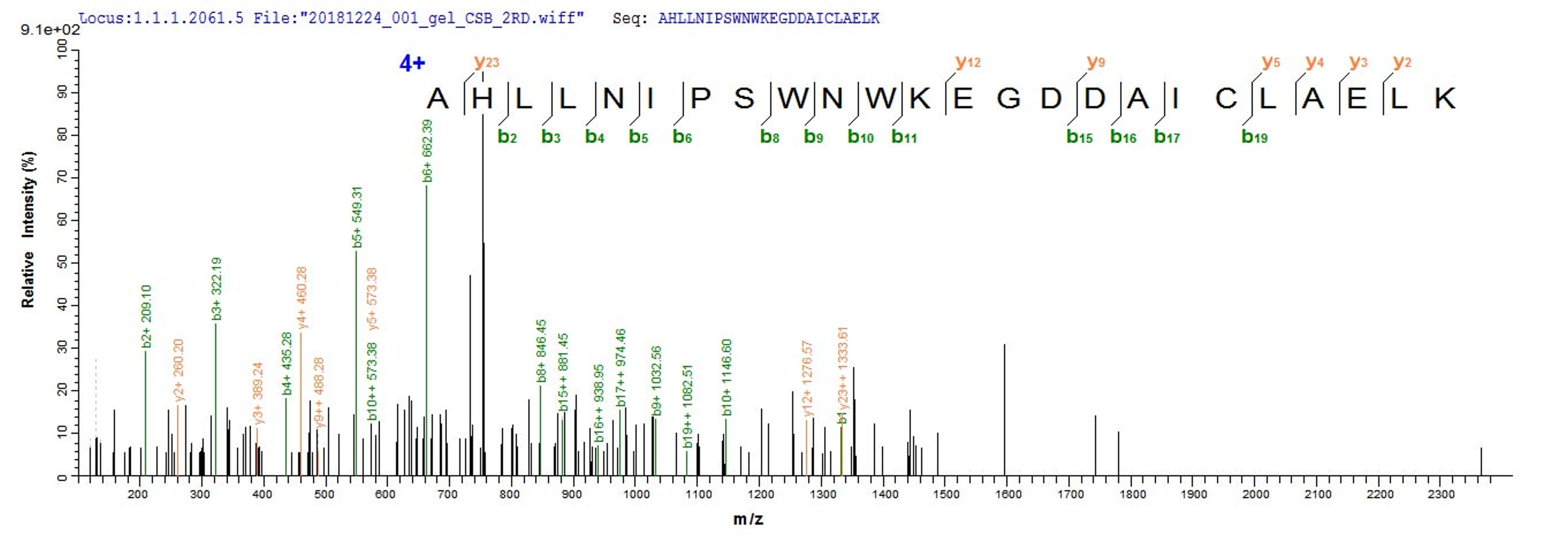 Based on the SEQUEST from database of E.coli host and target protein, the LC-MS/MS Analysis result of CSB-EP614255HU could indicate that this peptide derived from E.coli-expressed Homo sapiens (Human) KCNMA1.