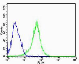 Flow cytometric analysis of HepG2 cells using REG3A Antibody (green) compared to an isotype control of rabbit IgG(blue). AP20597c was diluted at 1:25 dilution. An Alexa Fluor 488 goat anti-rabbit lgG at 1:400 dilution was used as the secondary antibody.