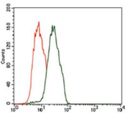 Flow Cytometry: C17orf53 Antibody (7A3A9) [NBP2-37407] - Flow cytometric analysis of Jurkat cells using C17ORF53 mouse mAb (green) and negative control (red).