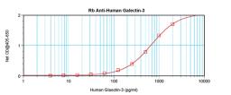 To detect hGalectin-3 by sandwich ELISA (using 100 ul/well antibody solution) a concentration of 0.5 - 2.0 ug/ml of this antibody is required. This antigen affinity purified antibody, in conjunction with ProSci’s Biotinylated Anti-Human Galectin-3 (38-171