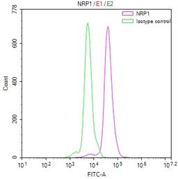 Overlay Peak curve showing PC3 cells stained with CSB-RA016091MA1HU (red line) at 1:100. The cells were fixed in 4% formaldehyde and permeated by 0.2% TritonX-100. Then 10% normal goat serum to block non-specific protein-protein interactions followed by the antibody (1ug/1*10<sup>6</sup>cells) for 45min at 4℃. The secondary antibody used was FITC-conjugated Goat Anti-human IgG(H+L) at 1:200 dilution for 35min at 4℃.Control antibody (green line) was human IgG (1ug/1*10<sup>6</sup>cells) used under the same conditions. Acquisition of >10,000 events was performed.