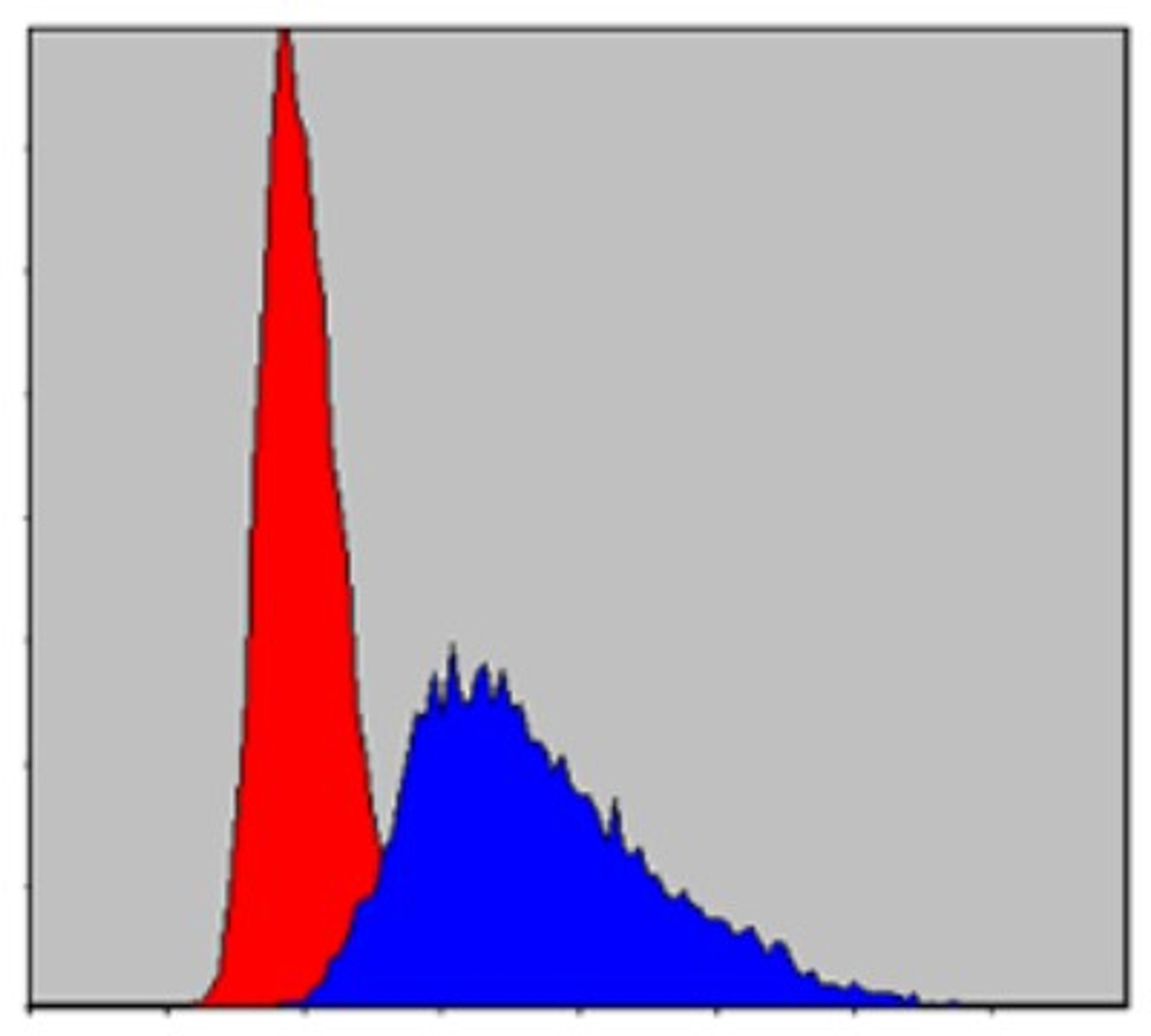 Flow Cytometry: ITK Antibody (5G6) [NBP2-37578] - Flow cytometric analysis of Jurkat cells using ITK mouse mAb (blue) and negative control (red).