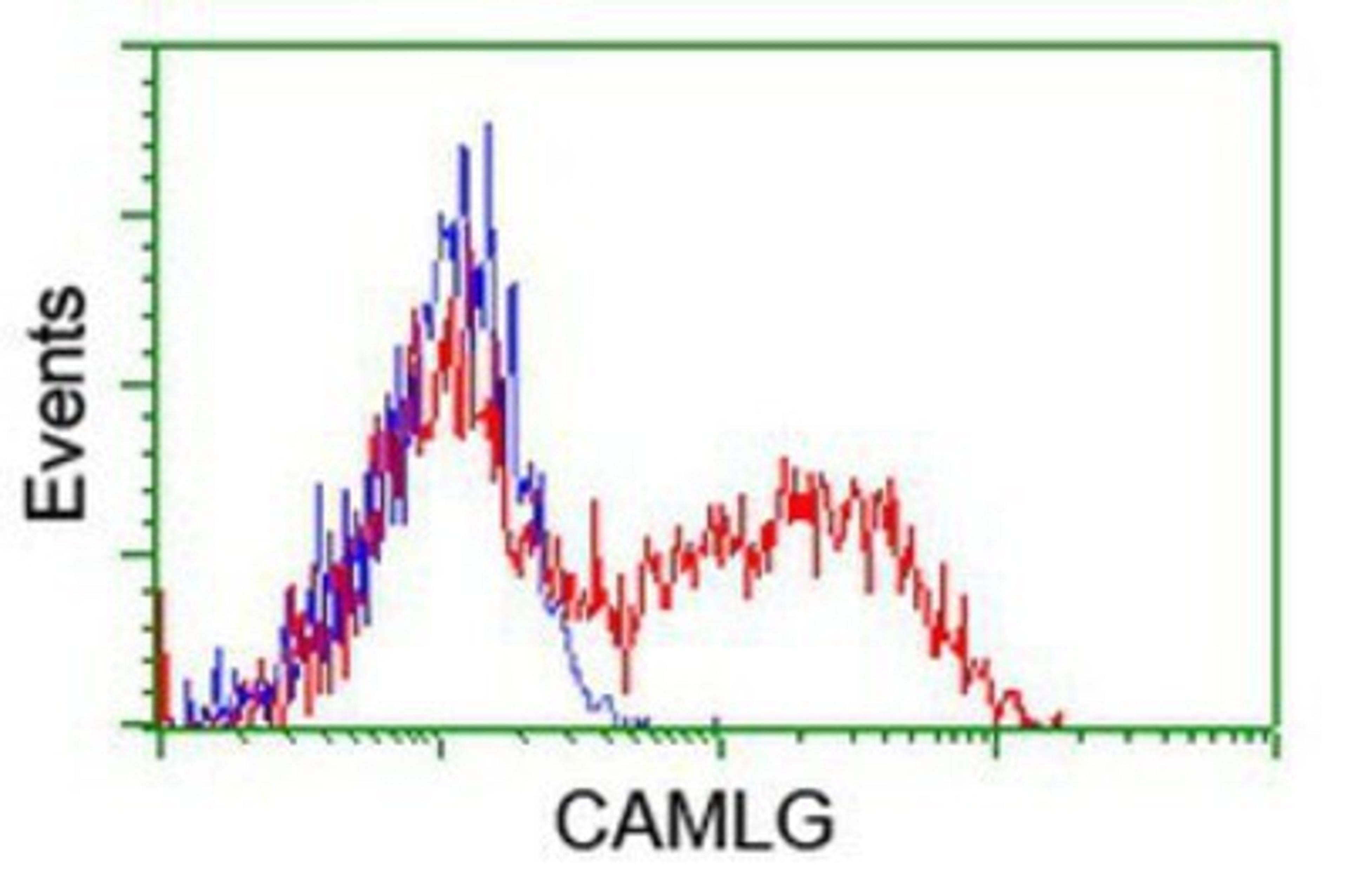 Flow Cytometry: CAMLG Antibody (1A3) [NBP2-01801] - HEK293T cells transfected with either overexpression plasmid (Red) or empty vector control plasmid (Blue) were immunostained by anti-CAMLG antibody, and then analyzed by flow cytometry.