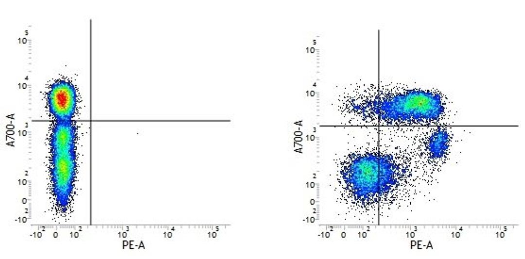 Figure A. Mouse anti Human CD3. Figure B. Mouse anti Human CD3 and Mouse anti Human CD55.