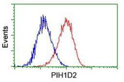 Flow Cytometry: PIH1D2 Antibody (4A10) [NBP2-03656] - Analysis of Hela cells, using anti-PIH1D2 antibody, (Red), compared to a nonspecific negative control antibody (Blue).