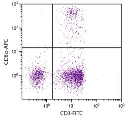 Chicken peripheral blood mononuclear cells were stained with Mouse Anti-Chicken CD8?-APC (Cat. No. 99-216) and Mouse Anti-Chicken CD4-FITC .