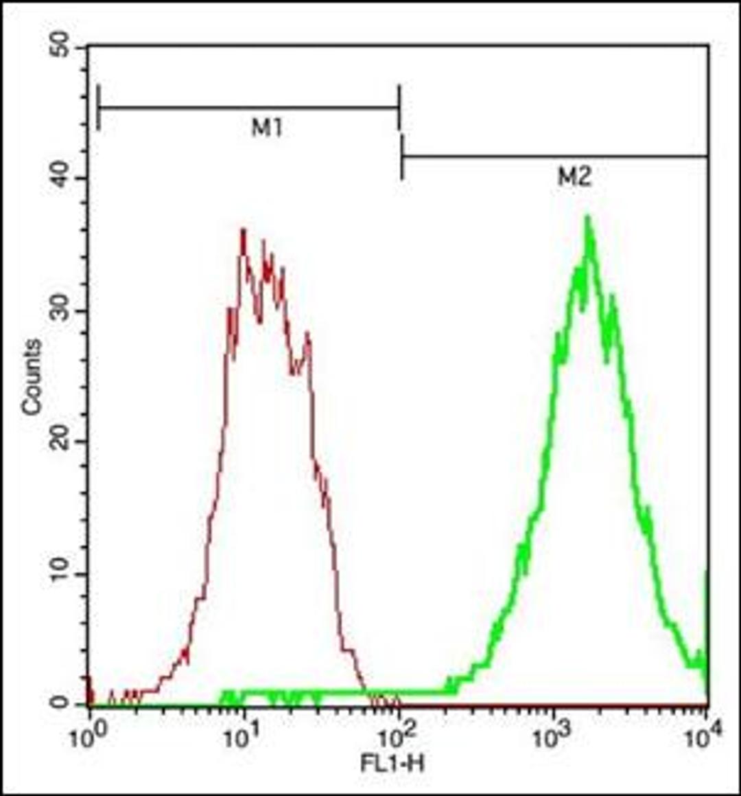 Flow cytometric analysis of brain Cell using PAR4 antibody.