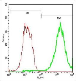 Flow cytometric analysis of brain Cell using PAR4 antibody.