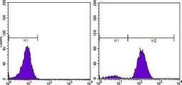 Flow Cytometry: Prostate Specific Antigen Antibody (5A11E9) [NBP1-51541] - Flow cytometric analysis of PC-3 cells using Prostate Specific Antigen mouse mAb (right) and negative control (left).