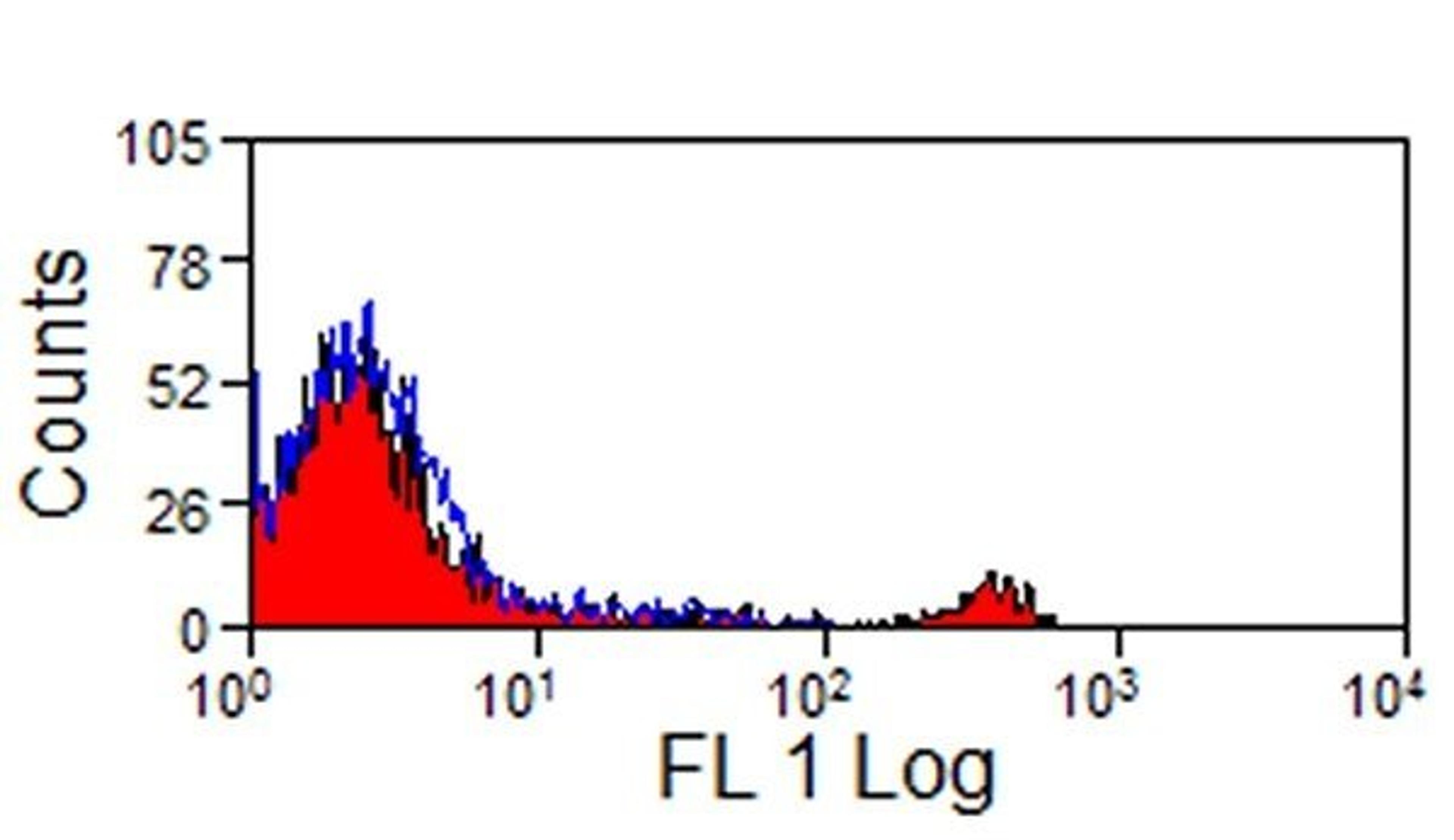 Staining of sheep peripheral blood lymphocytes with Mouse anti Ovine CD8:FITC (MCA2216F)