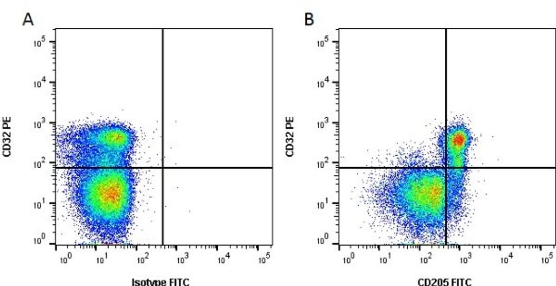 Figure A. mouse anti bovine CD205. Figure B. mouse anti bovine CD205 and mouse anti bovine CD32